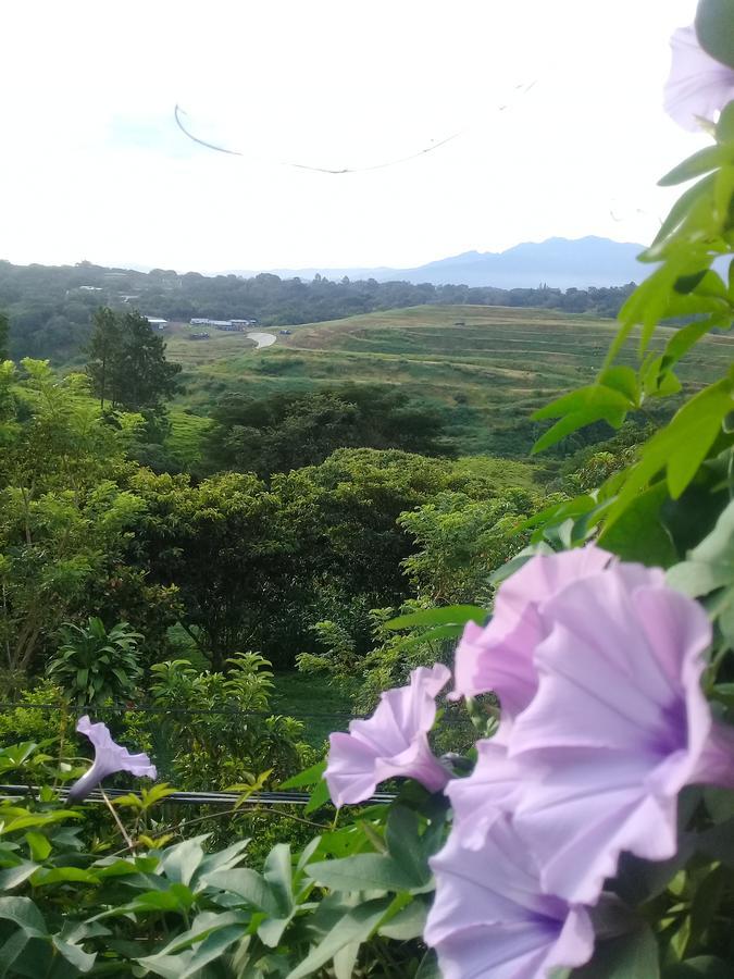 Rancha Azul Inn Alajuela Esterno foto